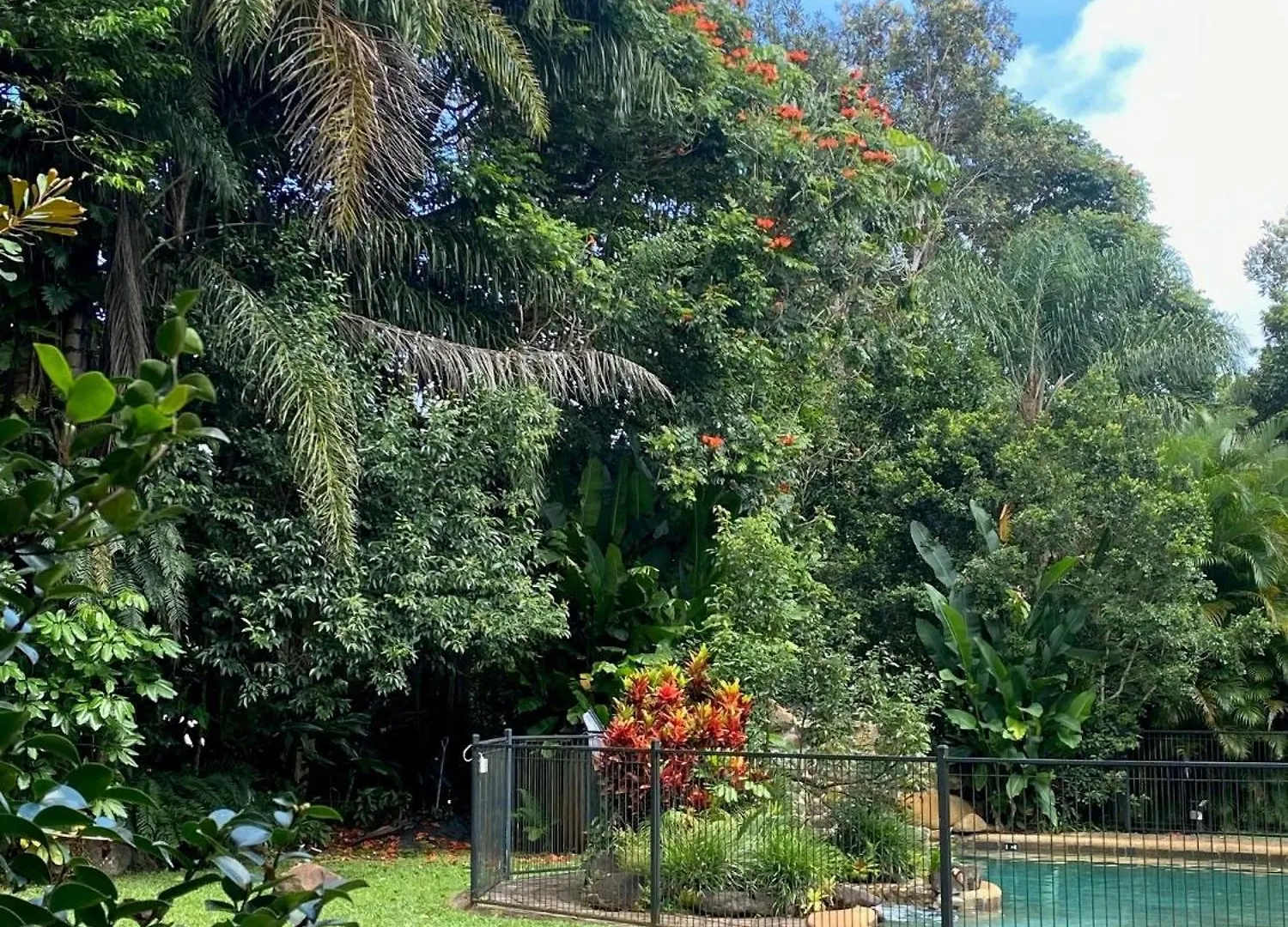 *** 汽车旅馆 Malanda Lodge 澳大利亚