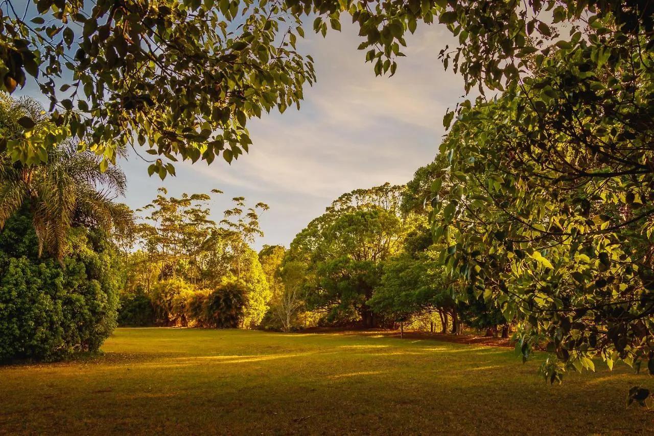 Malanda Lodge 3*,  澳大利亚